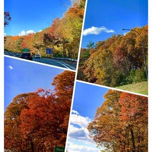 Meet your Posher, Di